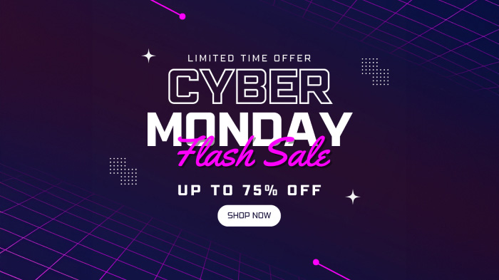  An image promoting a limited-time Cyber Monday flash sale with 75% discount.