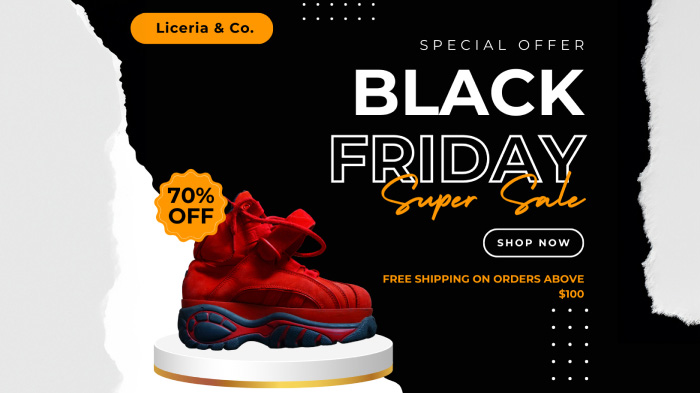 An image promoting a Black Friday free shipping offer on orders above $100.