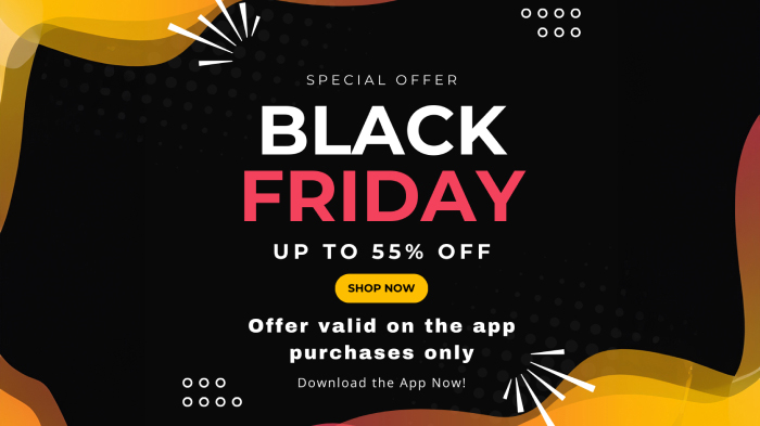 An image promoting a special Black Friday discount applicable on the app purchases only.