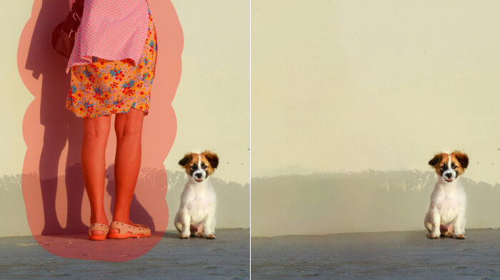 Comparison collage of a pet’s photo. Left, with a stranger. Right with them removed through AI remove person tool. 