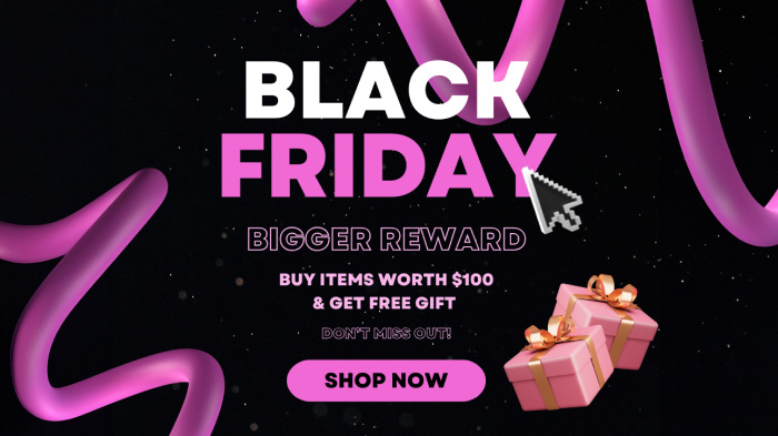 An image promoting the Black Friday free gift offer on a purchase of $100.