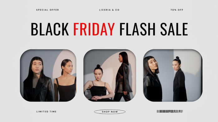 An image promoting a Black Friday limited time flash sale.