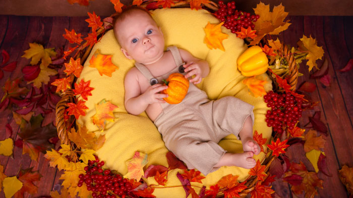 A Thanksgiving photo of a newborn in a cornucopia basket filled with soft blankets and surrounded by colorful autumn leaves.